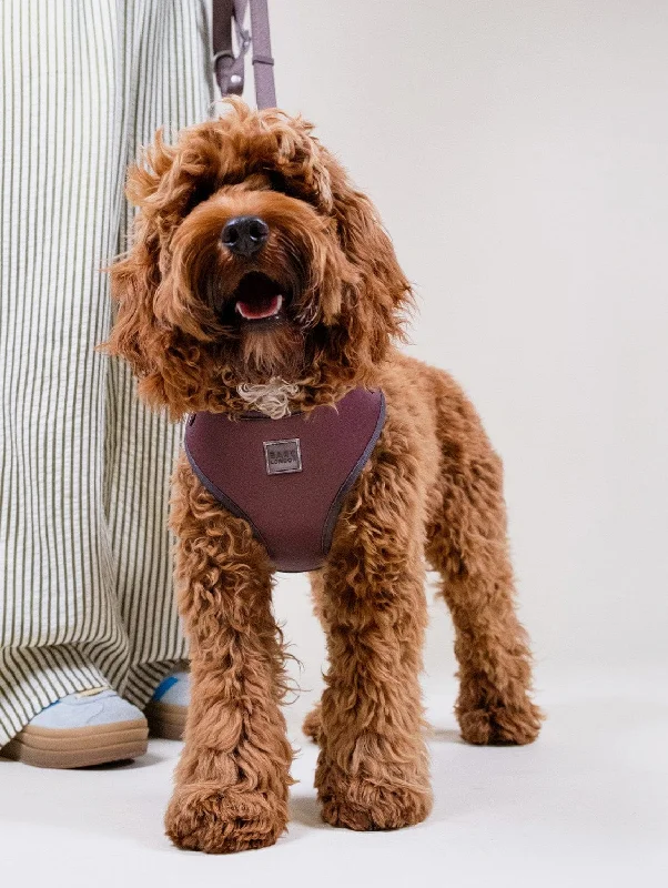 Easy Fit Nylon Fabric Cushioned Dog Harness | Russet Brown